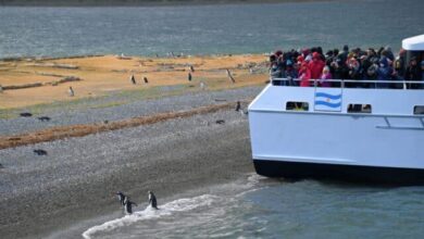 Photo of “Es un municipio turístico que se pelea con el turismo”