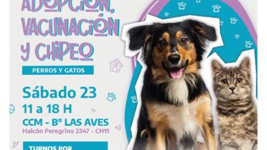 Photo of El Municipio realizará una jornada de adopción resposable, vacunación antirrábica y chipeo para perros y gatos