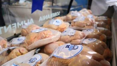 Photo of El pollo casi equipara al consumo de carne vacuna en Tierra del Fuego