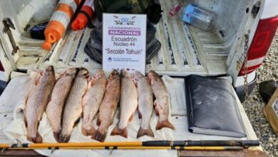 Photo of Pesca Deportiva: Secuestraron truchas y equipos en operativos de control