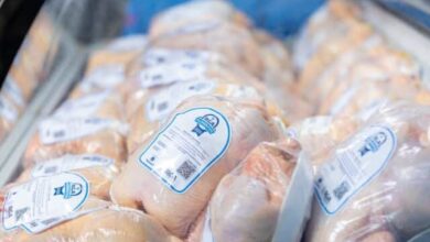 Photo of RGA Alimentos: Más de 16.000 pollos producidos en 2024