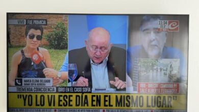 Photo of Una nueva testigo que confirma que el ex marino detenido por el caso Loan estuvo en cercanías del camping cuando desapareció Sofia Herrera