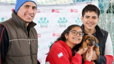 Photo of Portal Mascotero: Lanzan una página web para fomentar la adopción responsable de mascotas