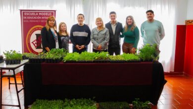 Photo of El Municipio de Río Grande entregó plantines para fortalecer el vivero del Colegio EMEI