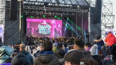 Photo of Lo que hay que saber sobre la gran fiesta municipal del Encendido del Árbol