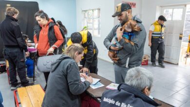 Photo of Accedé al Servicio Veterinario de Castración del Municipio