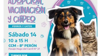 Photo of RGA Mascotera: habrá una jornada de adopción, vacunación y chipeo