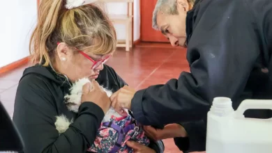 Photo of Hoy se realizará una nueva jornada de cuidado para las mascotas