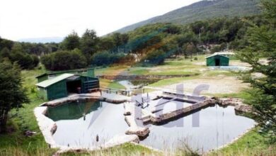 Photo of Roanmat tiene 48 horas para desalojar las termas del Valdez