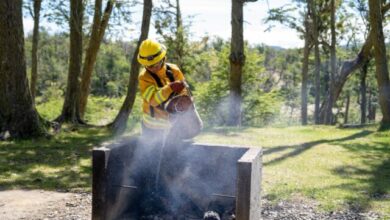 Photo of Recuerdan medidas para prevenir incendios forestales en Tierra del Fuego