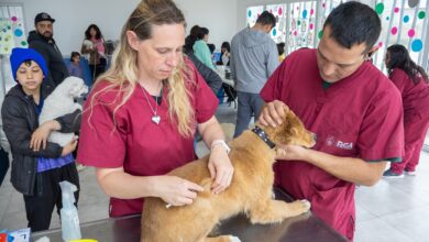 Photo of Río Grande vivió la primer jornada de salud pública animal del 2025