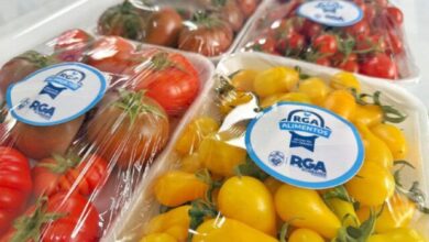 Photo of RGA Alimentos: Del punto de ventas a la mesa de los riograndenses