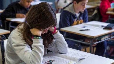 Photo of Prueba Aprender: solo el 45% de los alumnos de tercer grado alcanza el nivel esperado en lectura