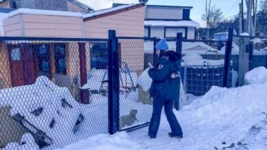 Photo of Ushuaia: Zoonosis promueve la tenencia responsable en el Valle de Andorra