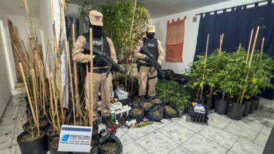Photo of Cinco allanamientos por tráfico de drogas en Río Grande