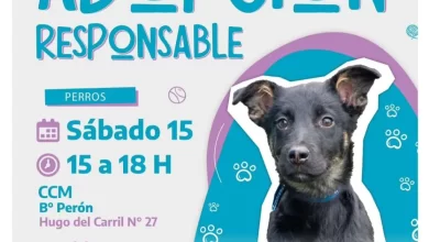 Photo of Nueva jornada de adopción responsable en el CCM B° Perón