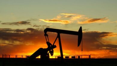 Photo of ​”Es un día que marca un antes y un después”, destacaron desde el directorio de Terra Ignis Energía 