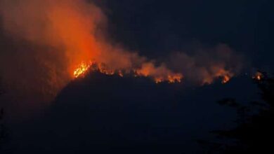 Photo of ​Incendio en el Parque Nacional Los Alerces: Investigan la posible responsabilidad penal de funcionarios 