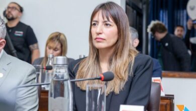 Photo of ​La legisladora Colazo defendió la Ley de Glaciares en la audiencia pública 