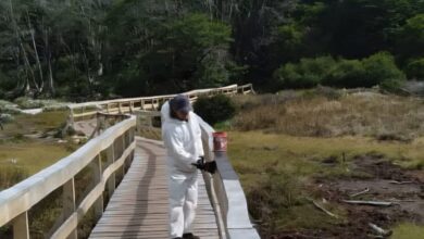 Photo of ​El INFUETUR intensifica el mantenimiento y control en espacios naturales 